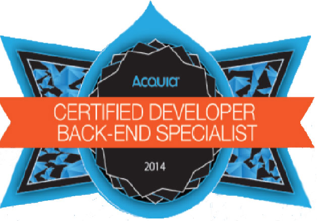 Consider Drupal Certified Developer for Your Web Project - Lemberg Solutions