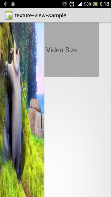 video crop 1