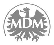 MDM case - Lemberg Solutions
