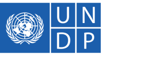 UNDP logo - Lemberg Solutions