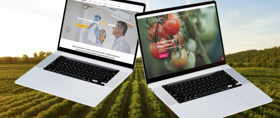 Enhancing Syngenta’s global digital presence with custom enterprise websites - Meta image - Lemberg Solutions