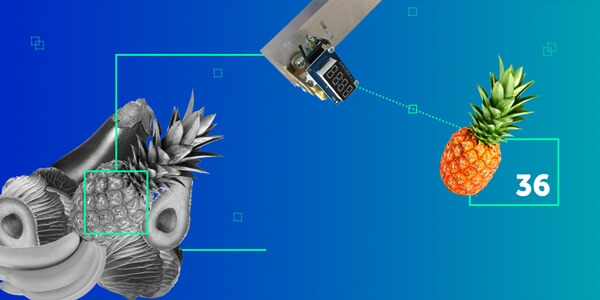 IoT in Retail: Building a PoC with Raspberry Pi 3 and Intel Movidius NCS