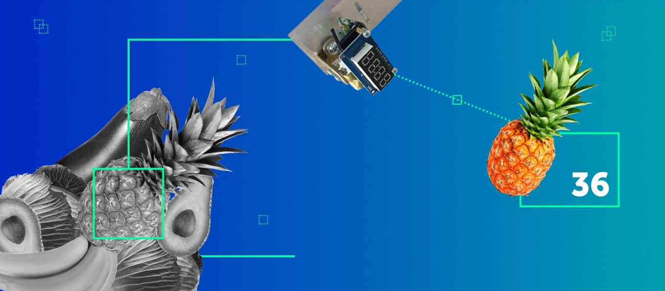 IoT in Retail: Building a PoC with Raspberry Pi 3 and Intel Movidius NCS