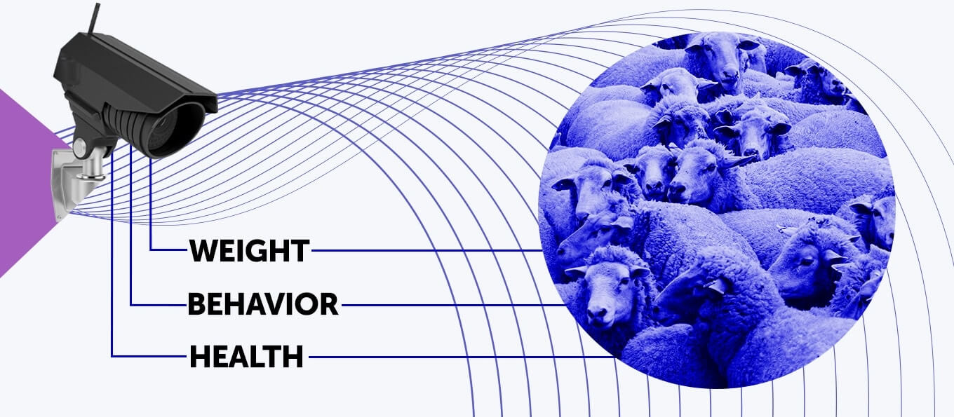 The Potential of Computer Vision in AgriTech