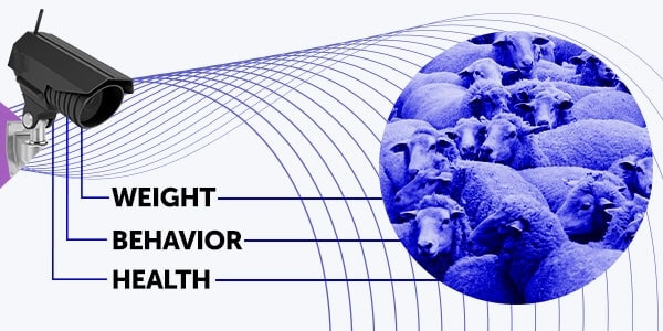 The Potential of Computer Vision in AgriTech