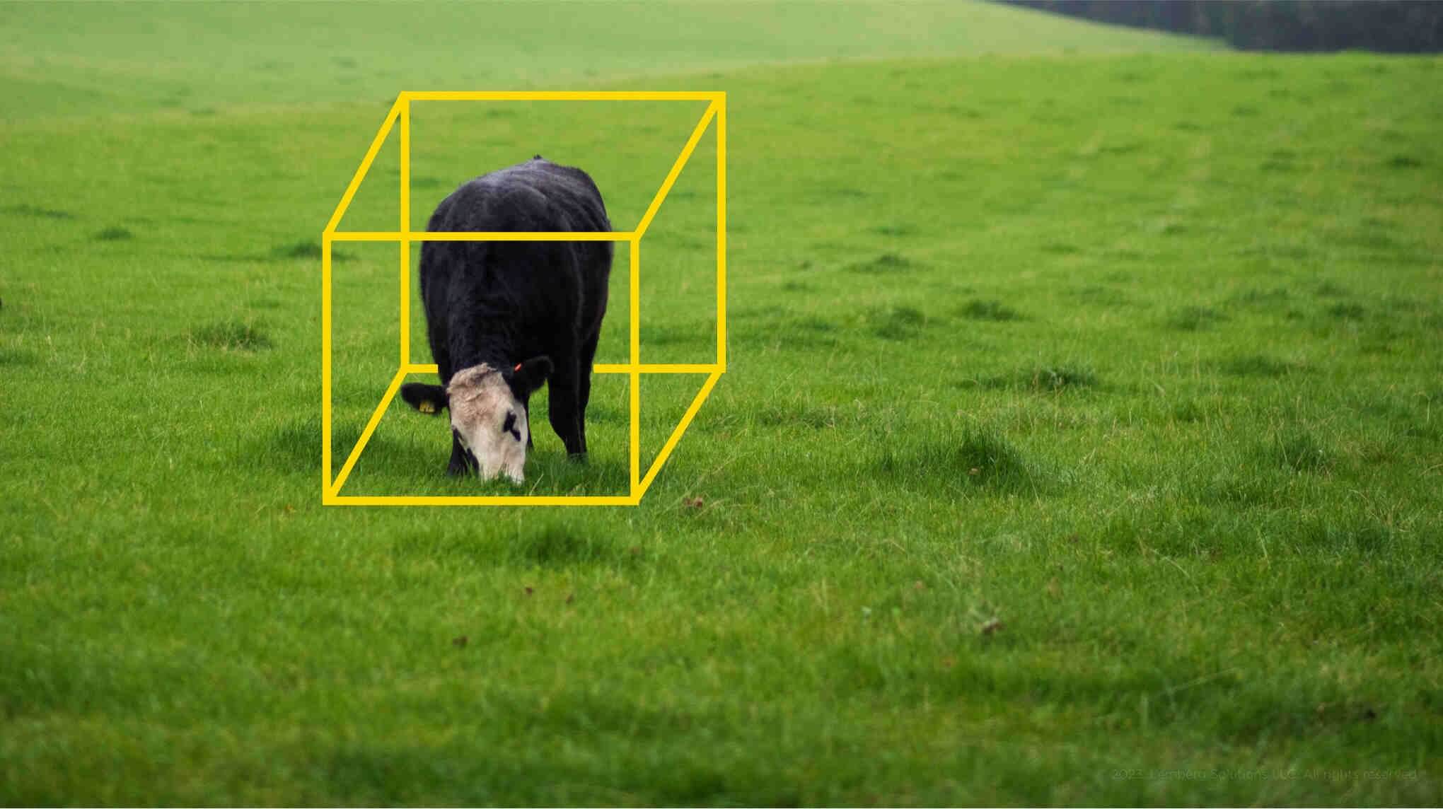 3D cuboids - Data labeling in 8 steps_ How we do it - Lemberg Solutions 3D cuboids - Data labeling in 8 steps_ How we do it - Lemberg Solutions