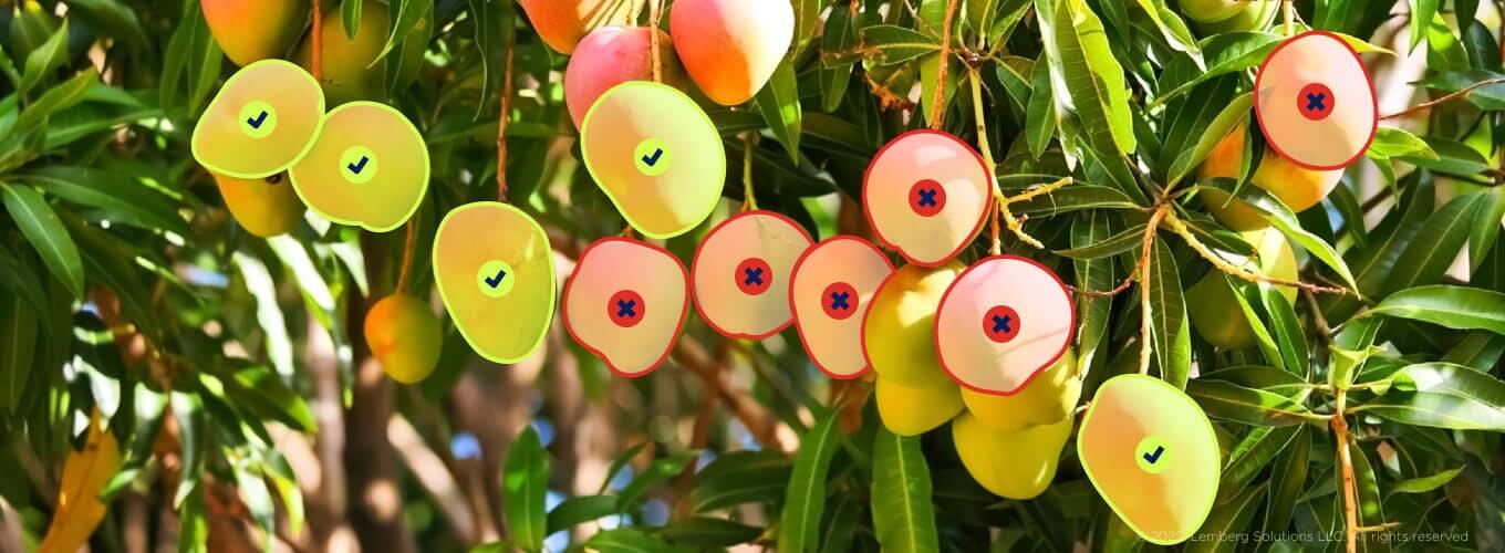 Computer vision in agriculture and farming: 7 use cases - Body image 2 - Lemberg Solutions.jpg Computer vision in agriculture and farming: 7 use cases - Body image 2 - Lemberg Solutions.jpg