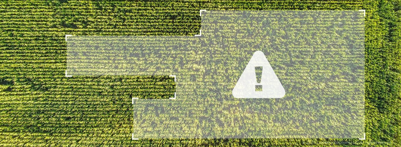 Computer vision in agriculture and farming: 7 use cases - Body image 3 - Lemberg Solutions.jpg Computer vision in agriculture and farming: 7 use cases - Body image 3 - Lemberg Solutions.jpg