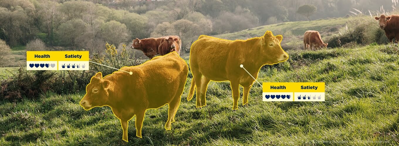 Computer vision in agriculture and farming: 7 use cases - Body image 4 - Lemberg Solutions.jpg Computer vision in agriculture and farming: 7 use cases - Body image 4 - Lemberg Solutions.jpg