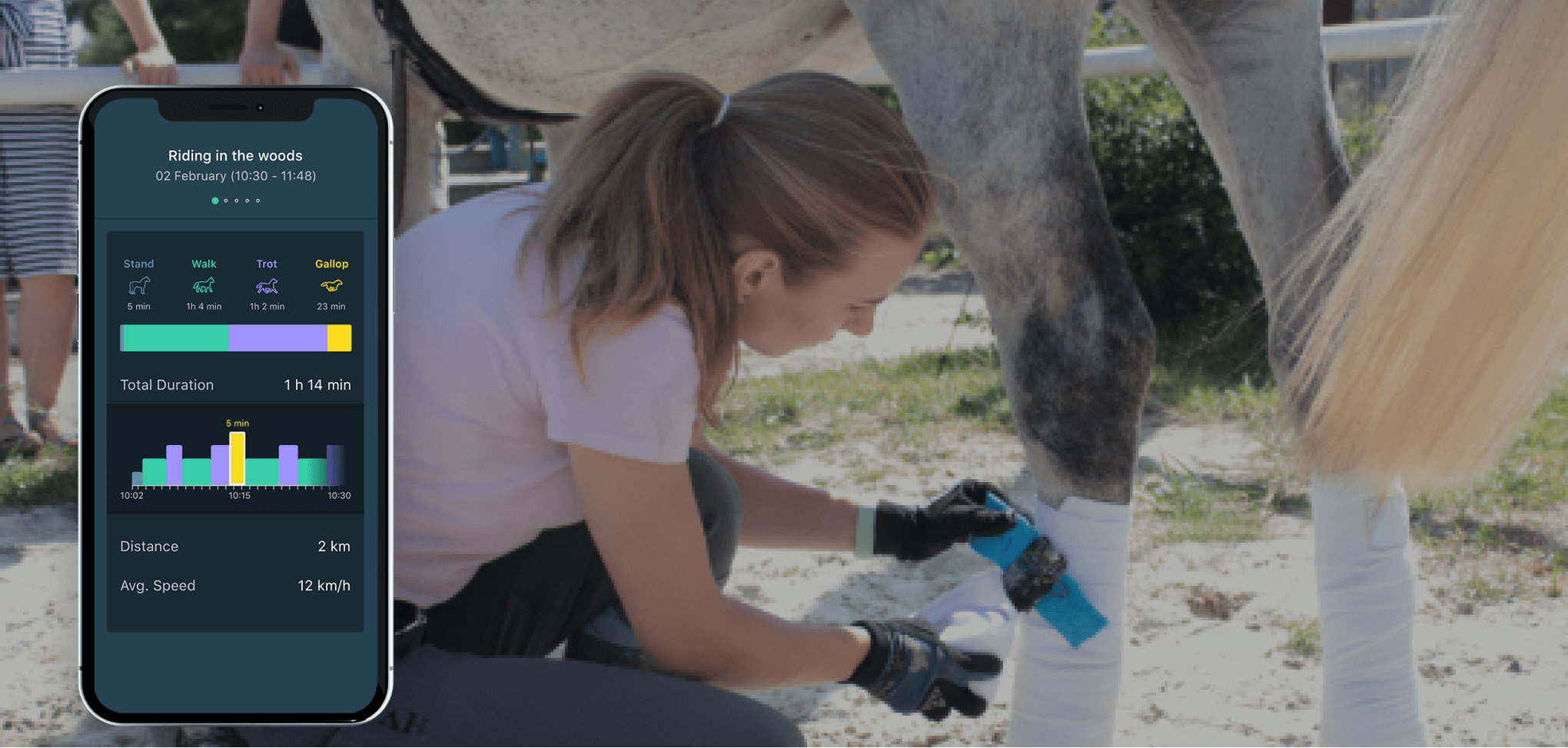 HorseAnalytics - Lemberg Solutions' data science project How to Prepare Your Data for a Data Science Project - Lemberg Solutions - HorseAnalytics