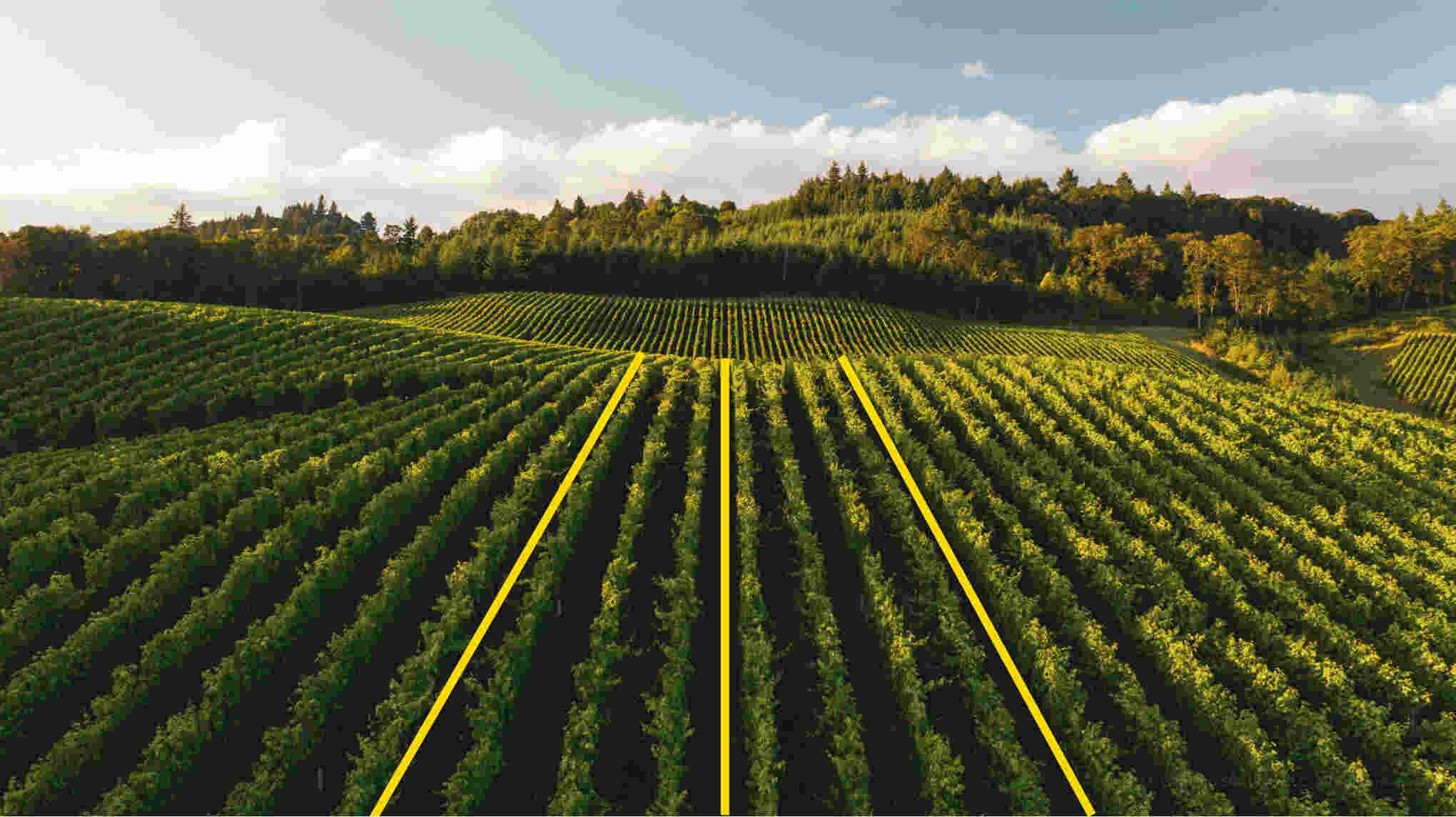 Lines and splines - Data labeling in 8 steps_ How we do it - Lemberg Solutions Lines and splines - Data labeling in 8 steps_ How we do it - Lemberg Solutions