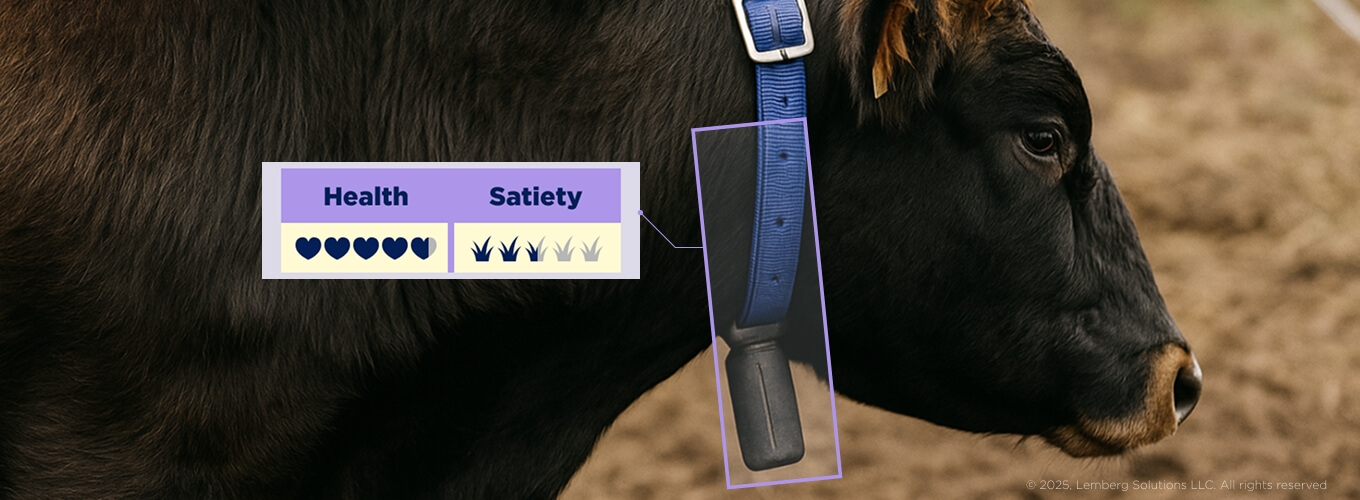 Livestock farming technology_img_05.jpg Livestock farming technology_img_05.jpg