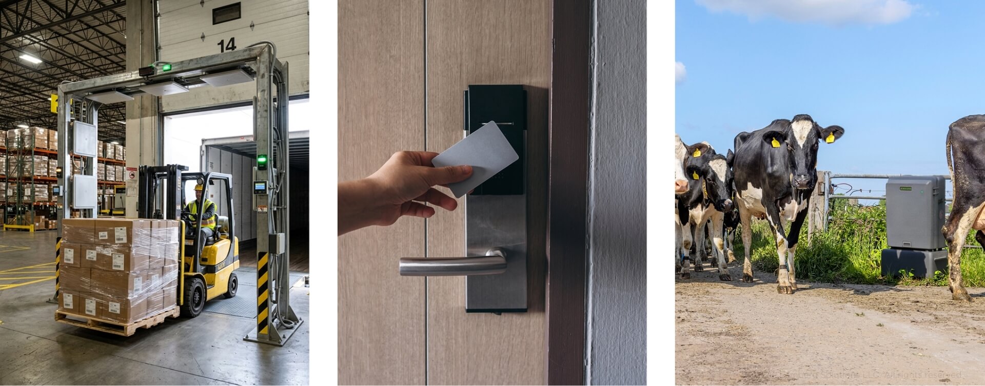 RFID vs NFC for Connected Products: A Technology-Selection Guide - Body image 3 - Lemberg Solutions