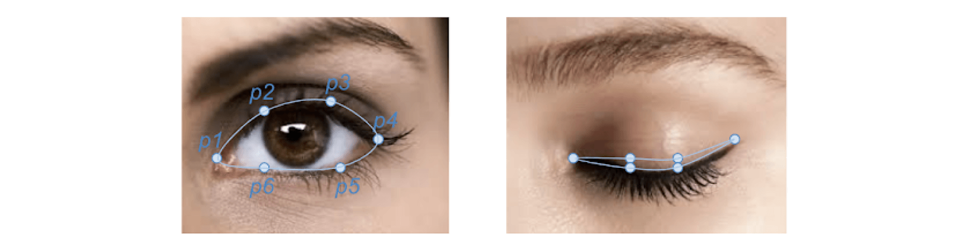 The result of eye landmark recognition open and closed eye The result of eye landmark recognition open and closed eye