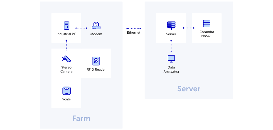 Barkom Pigs scheme