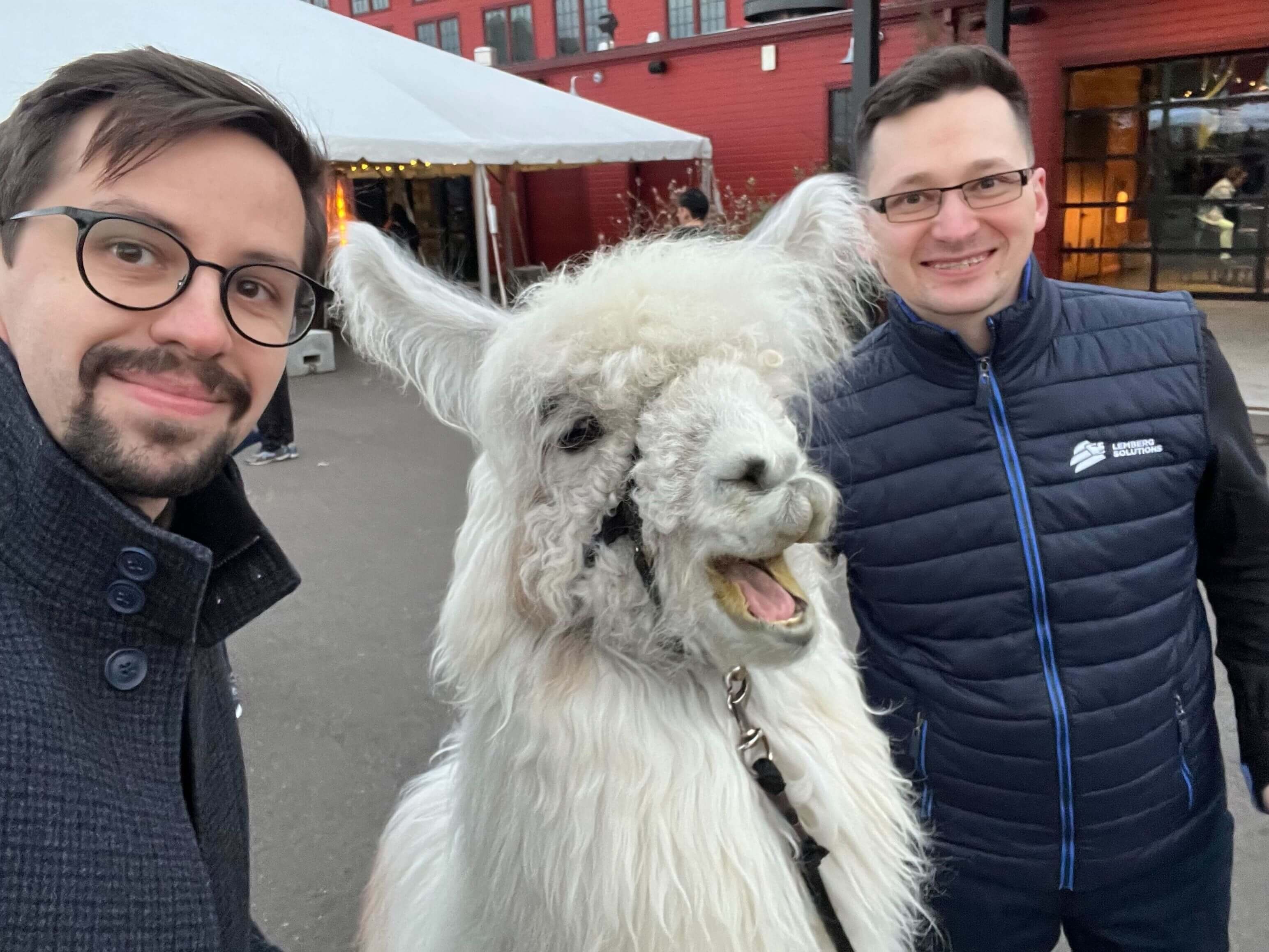 5 Best Sessions at DrupalCon Portland 2022 - Roy and Taras with an Alpaca - Lemberg Solutions Blog