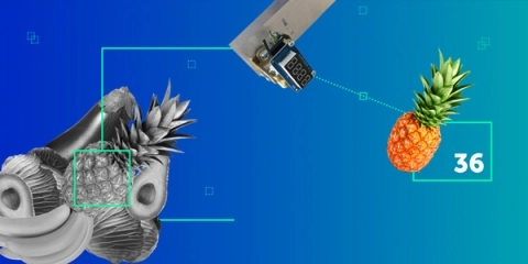 IoT in Retail: Building a PoC with Raspberry Pi 3 and Intel Movidius NCS - Lemberg Solutions
