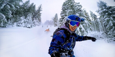 Ski Trackers (Android/iOS) - Lemberg Solutions