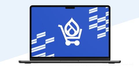 How to Build a B2B eCommerce Marketplace with Drupal Commerce - Lemberg Solutions