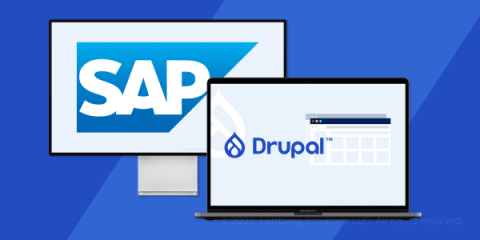 SAP + Drupal Commerce integration - meta.png