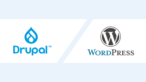 Drupal vs Wordpress - Which CMS is right for you - Lemberg Solutions - meta