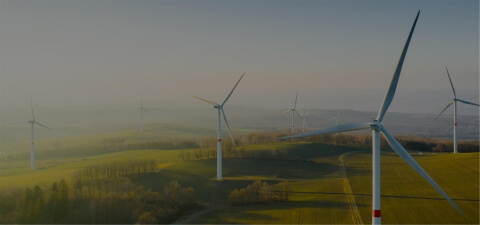 Artificial Intelligence Services - Lemberg Solutions - Page Banner.jpg
