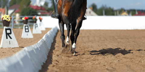 HorseAnalytics. Dressage. More Accurate Positioning. Task. Part 1 - Lemberg Solutions Blog