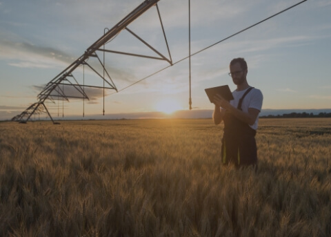 Agritech Software Development - Lemberg Solutions - Editorials.jpg