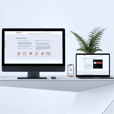 Anaxam_ animated website development - Overview image - Lemberg Solutions.jpg 