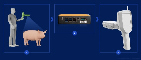 Barkom Pigs - How it works - Lemberg Solutions.jpg