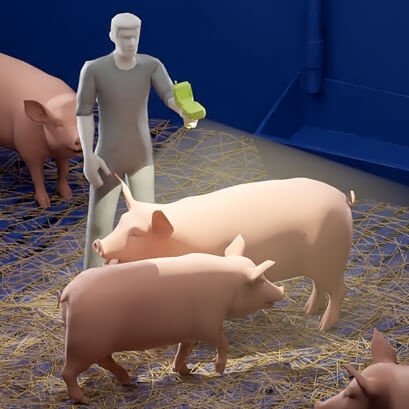 Barkom Pigs - Overview - Lemberg Solutions.jpg Barkom Pigs - Overview - Lemberg Solutions.jpg