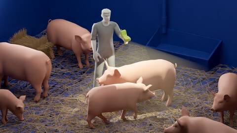 Barkom Pigs - Overview - Lemberg Solutions.jpg Barkom Pigs - Overview - Lemberg Solutions.jpg