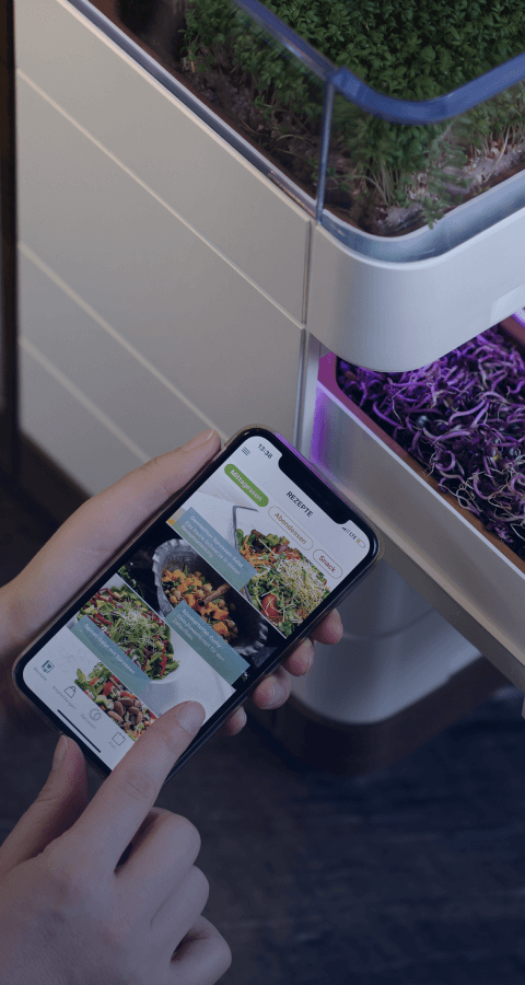Cell Garden - Lemberg Solutions