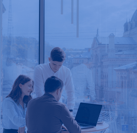 Cooperation Scenarios - Lemberg Solutions