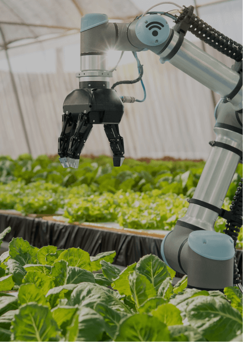 Discovery for Artificial Intelligence Projects - Lemberg Solutions