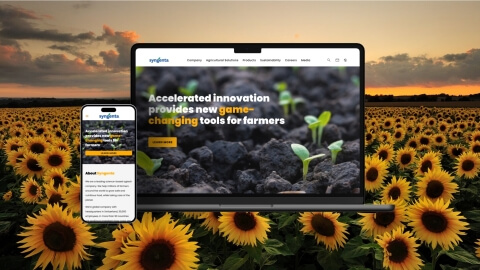 Enhanced user experience and content management with Drupal website - Syngenta - Meta - Lemberg Solutions
