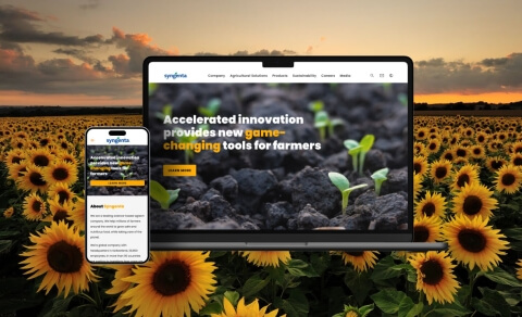 Enhanced user experience and content management with Drupal website - Syngenta - PDF Form - Lemberg Solutions.jpg