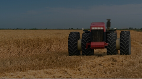 How AI automation in agriculture can save hours - Meta image - Lemberg Solutions.jpg