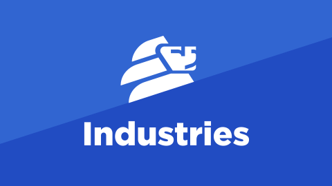 Industries - Lemberg Solutions - Meta Image.png