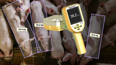 Livestock farming technology_meta.jpg