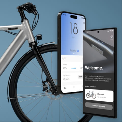 iOS and Android apps refactoring and redesign for BLE-enabled e-bikes - Overview - Lemberg Solutions.jpg