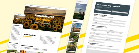 Syngenta - bottom image - Lemberg Solutions.jpg Syngenta - bottom image - Lemberg Solutions.jpg