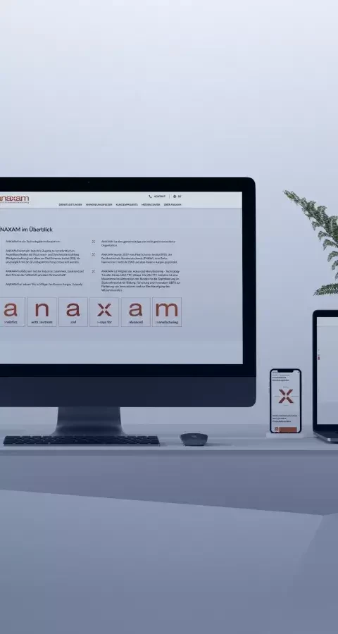 Anaxam website development by Lemberg Solutions - main image