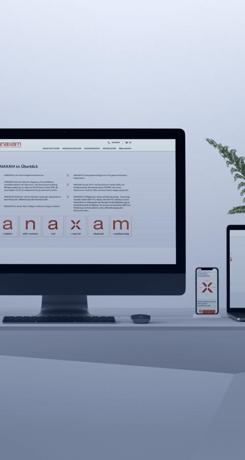 Anaxam website development by Lemberg Solutions - main image