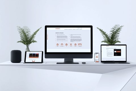 Anaxam website development by Lemberg Solutions - main image