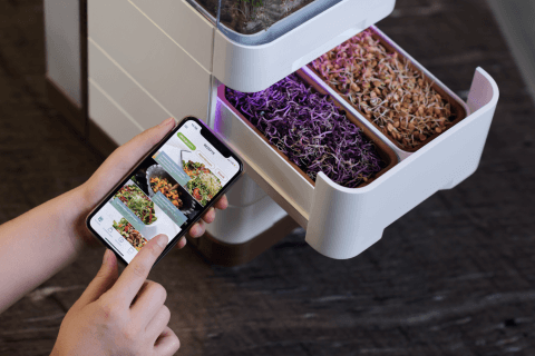 Cell Garden device - Lemberg Solutions