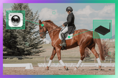 Lemberg Case Study: Horses’ Stress Level Monitoring System