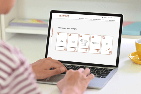 Anaxam,animated website development - Lemberg Solutions