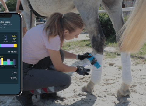 HorseAnalytics - Lemberg Solutions