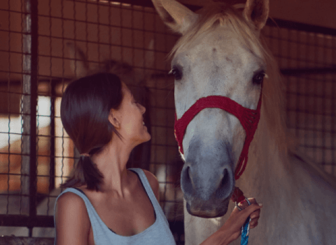 HorseAnalytics - Lemberg Solutions